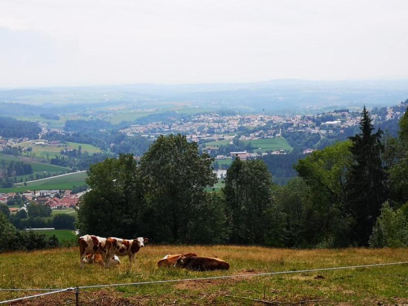 Ferienwohnung Waldblick Hauzenberg Exterior foto